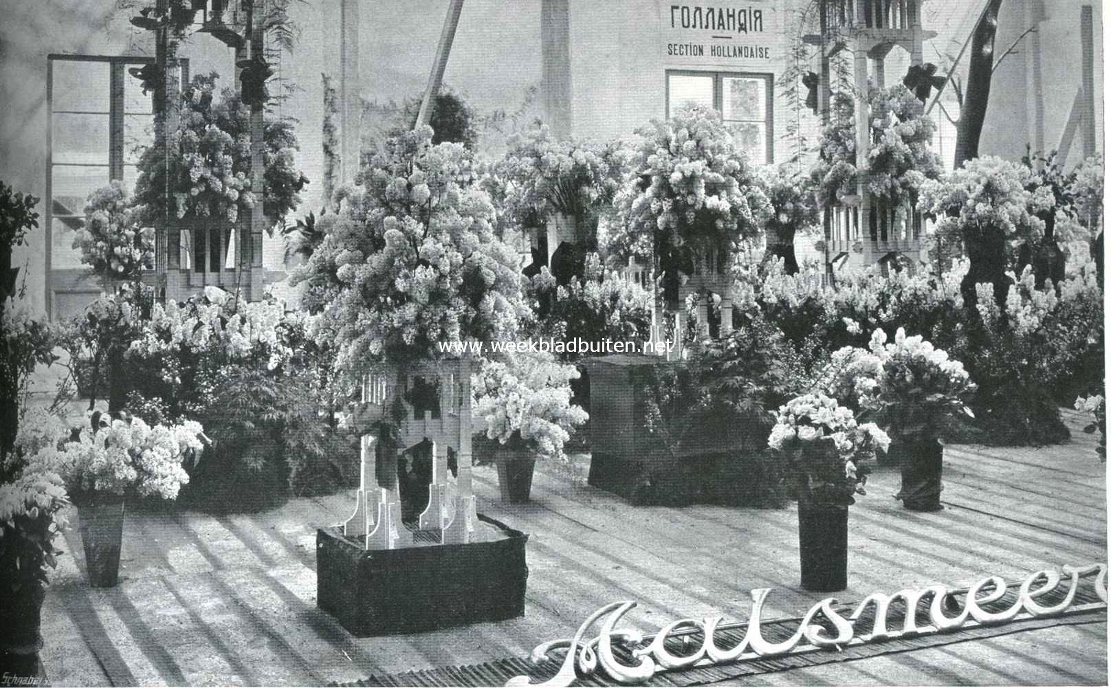 Aalsmeersche bloemen op de internationale tuinbouwtentoonstelling te St. Petersburg