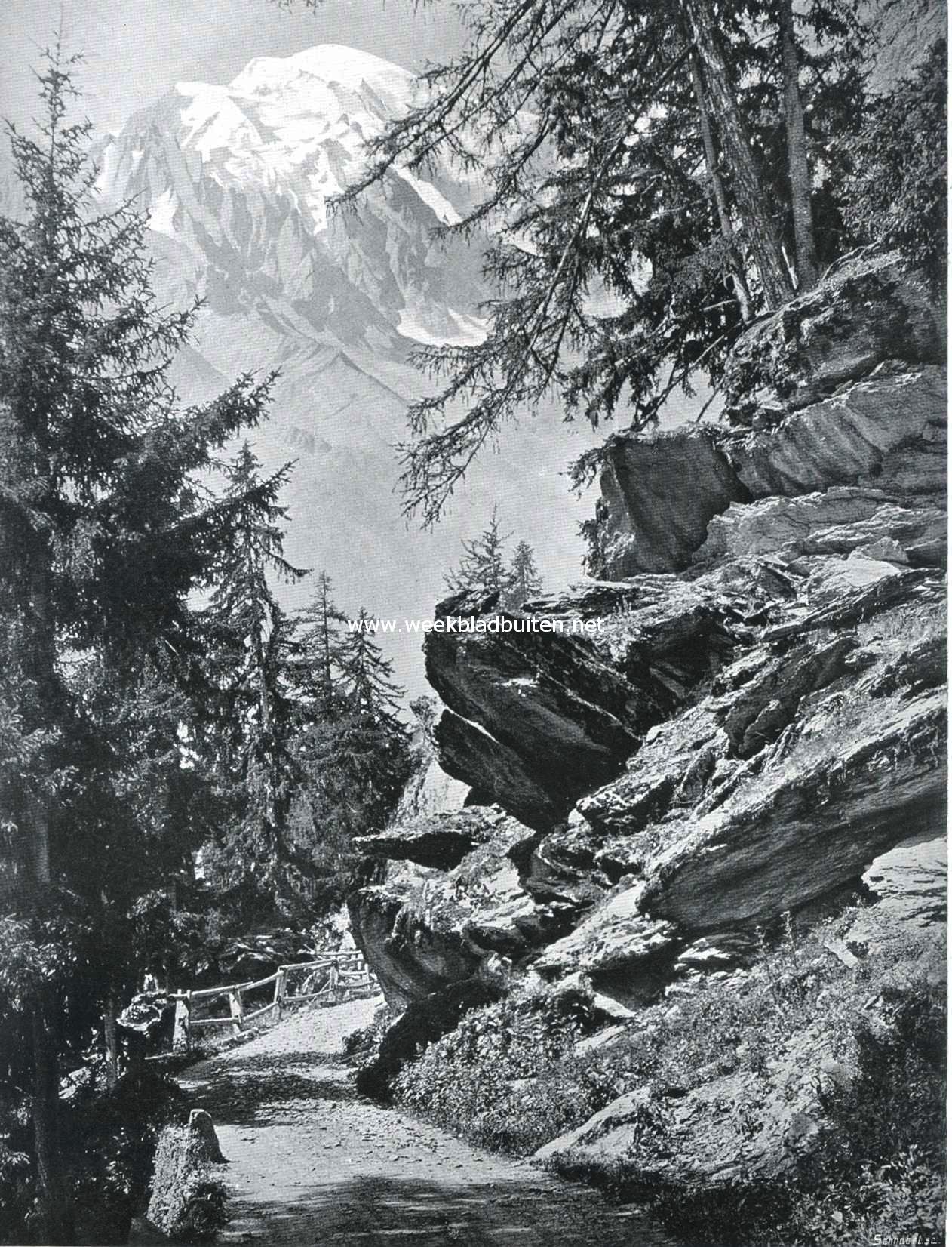 De Mont-Blanc gezien van den weg van Chatelard naar Finhaut.