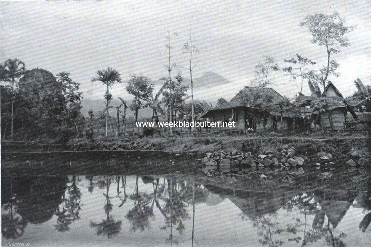 De rijstcultuur op Java. Huis van een welvarend landbouwer, met (rechts) de 
