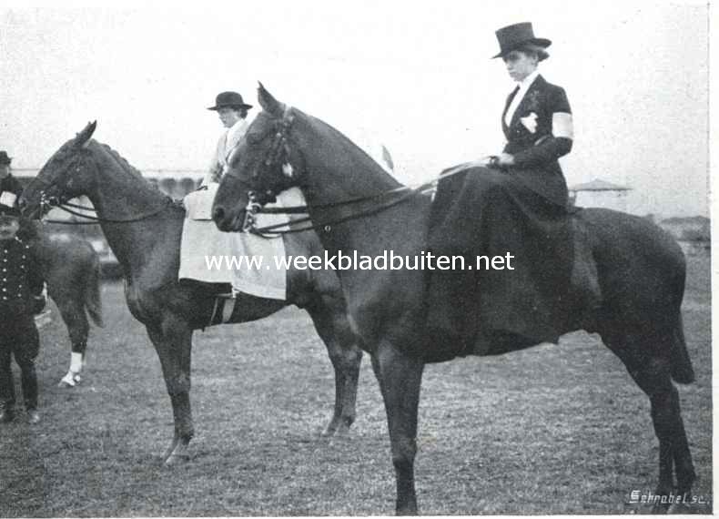 Het concours hippique te 's-Gravenhage. Deelneemsters aan het concours voor dames-rijpaarden