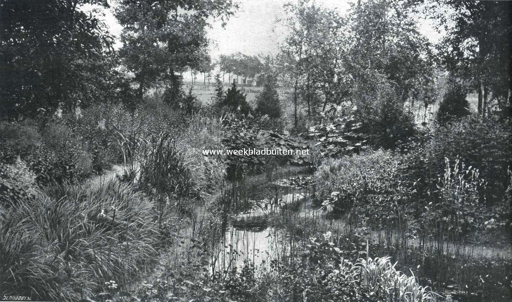 De tuin der Gerard-Adriaan-Van-Swieten-Tuinbouwschool te Frederiksoord. Water- en moerasplanten