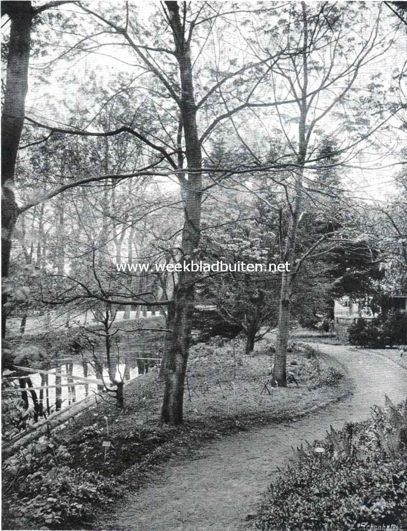 De tuin der Gerard-Adriaan-Van-Swieten-Tuinbouwschool te Frederiksoord. Begin van den natuurtuin
