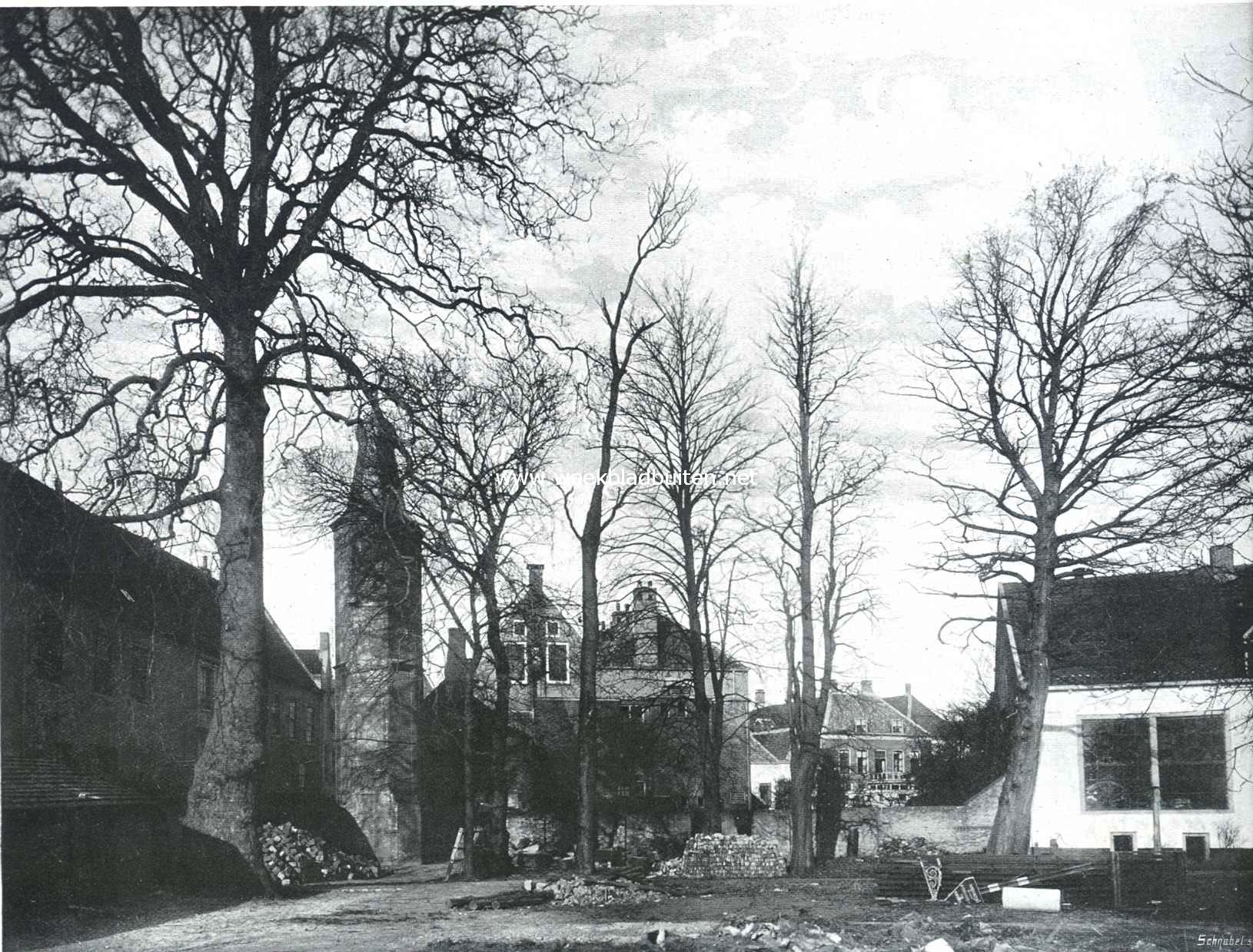 Gezicht in den voormalige Hortus Botanicus te Harderwijk, rechts een ceder van den Libanon, daarnaast een Gingko Biloba