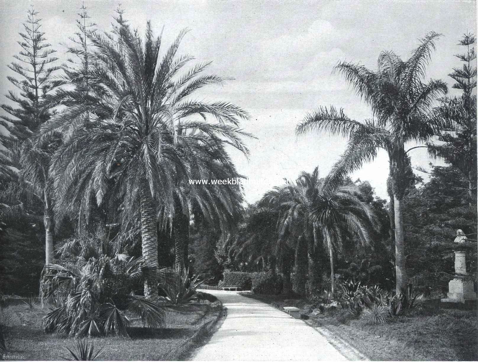 Palermo. In de Giardino Giulia