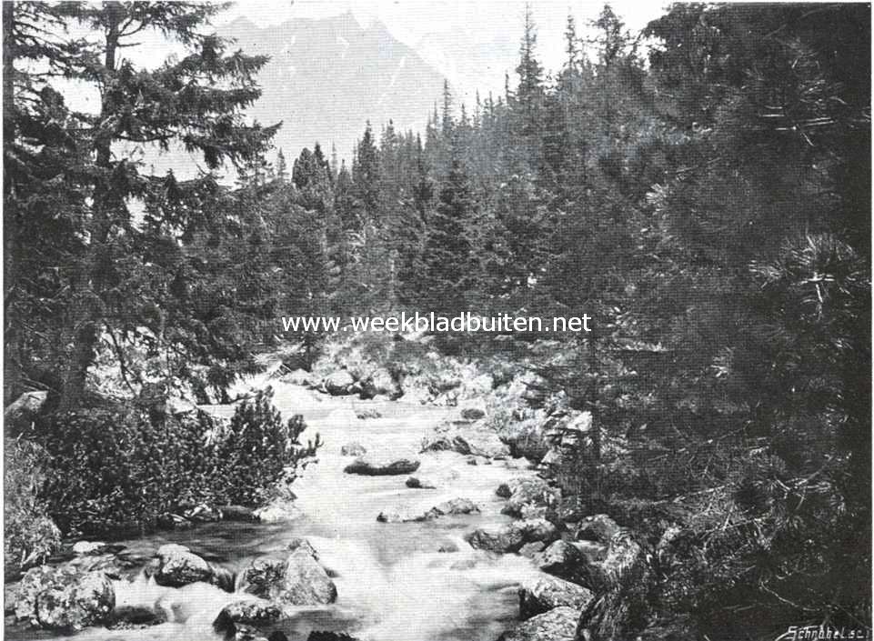 Galici. Bergstroom bij de Puppensee
