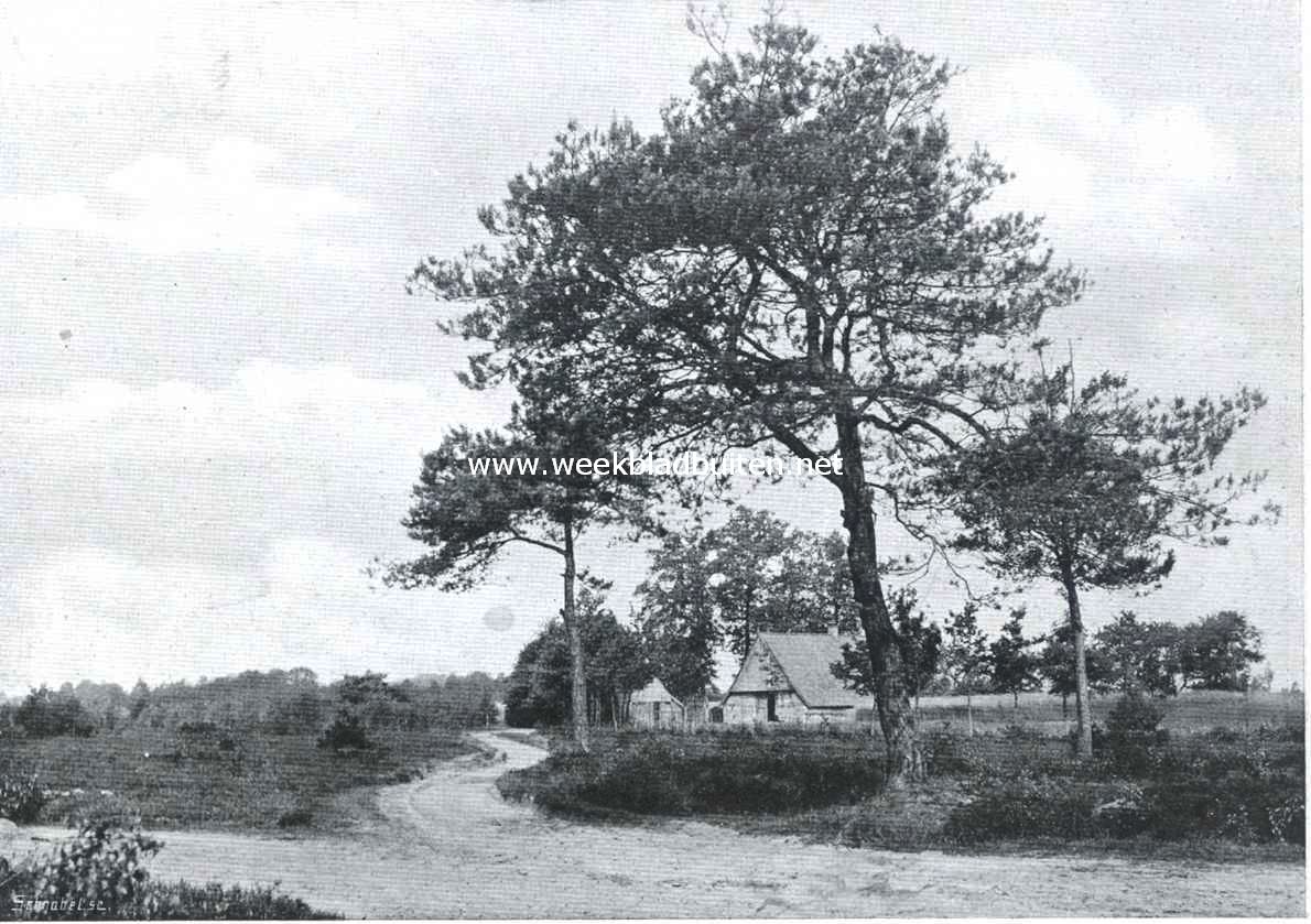 Vredige landschappen. De landsche woning, gegroeid in het landschap zelf
