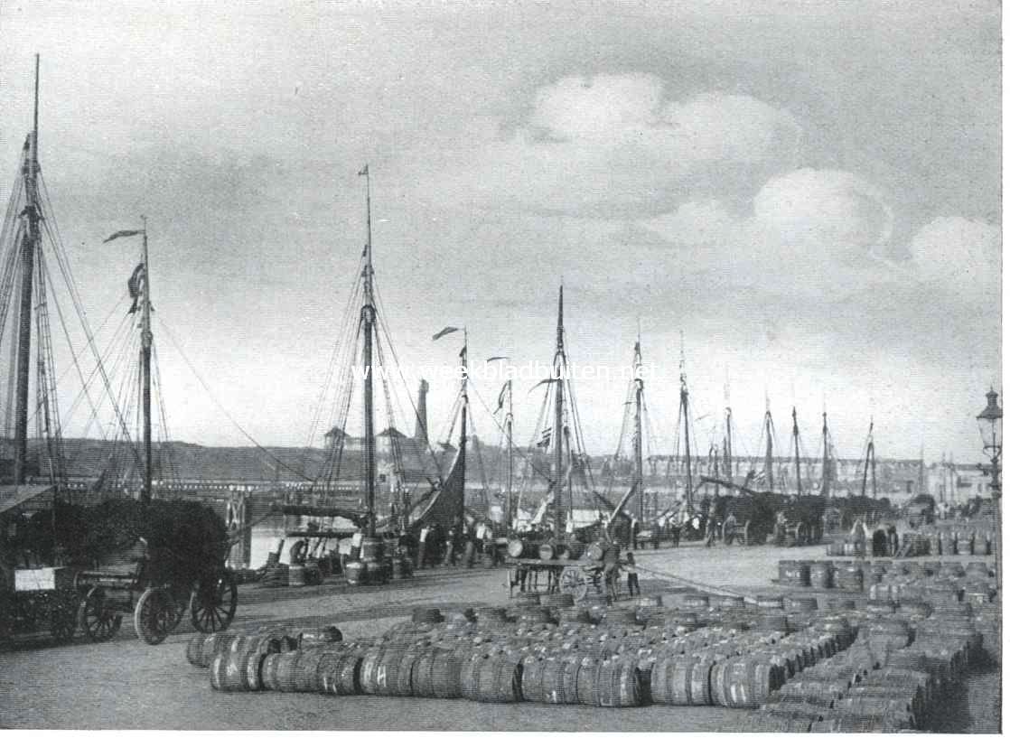 Scheveningen en het visserijbedrijf. Gezicht op de Scheveningsche haven
