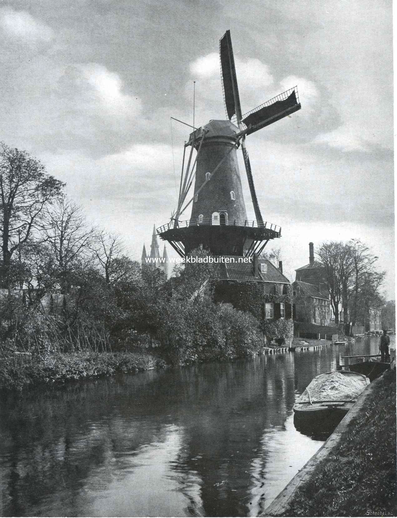 Molen op de oude wallen te Delft