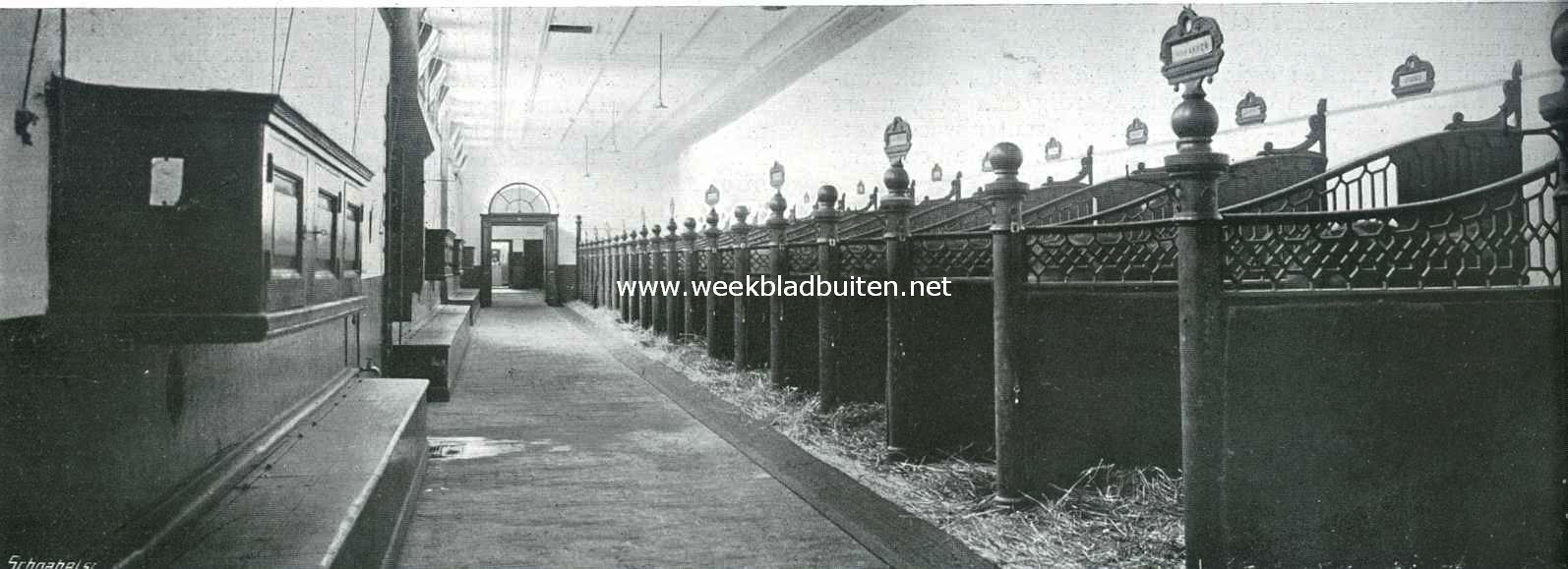 De Koninklijke Stallen. Het inwendige van den stal van H.M. de Koningin