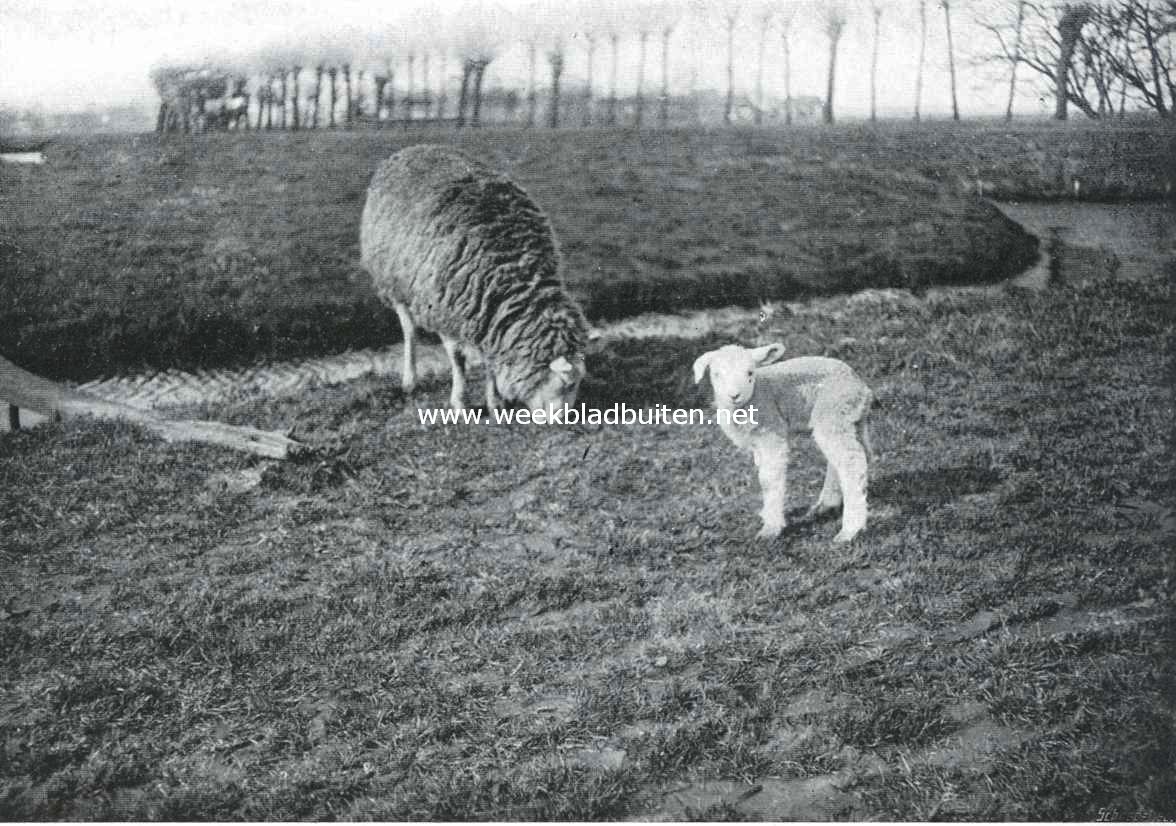 Wiegeliedjes. Slaap, kindje slaap .