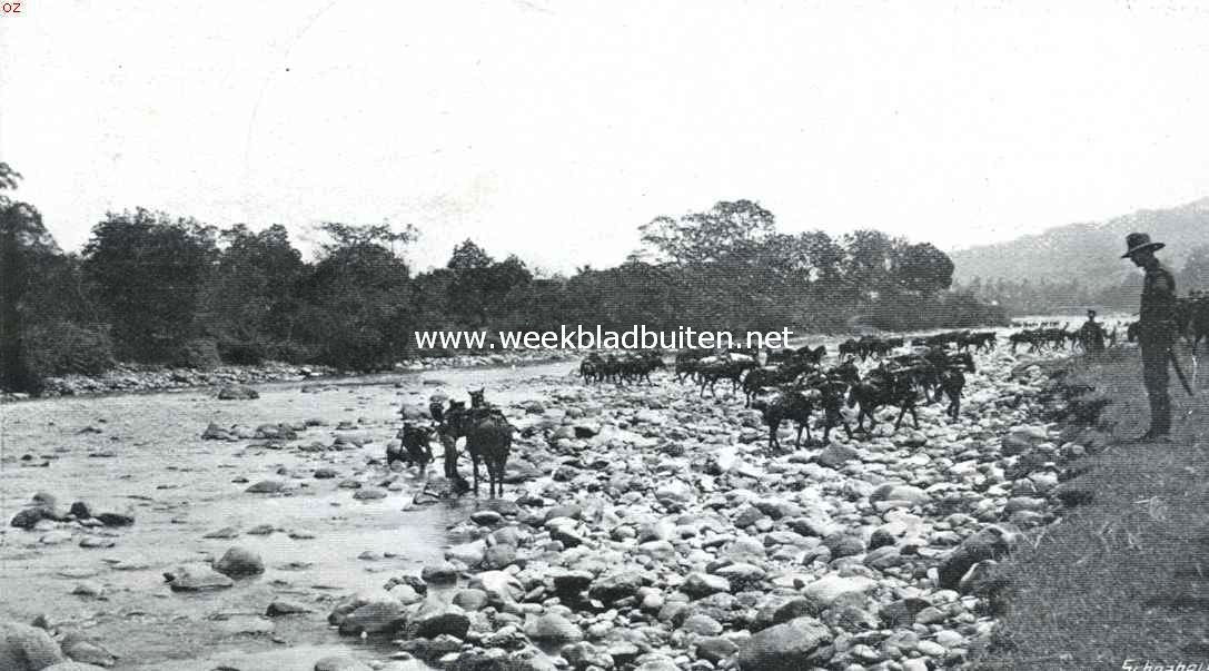 Het Nederlandsch-Indisch leger, in gereedheid gebracht voor een mogelijken aanval. Oefeningen der Indische artillerie