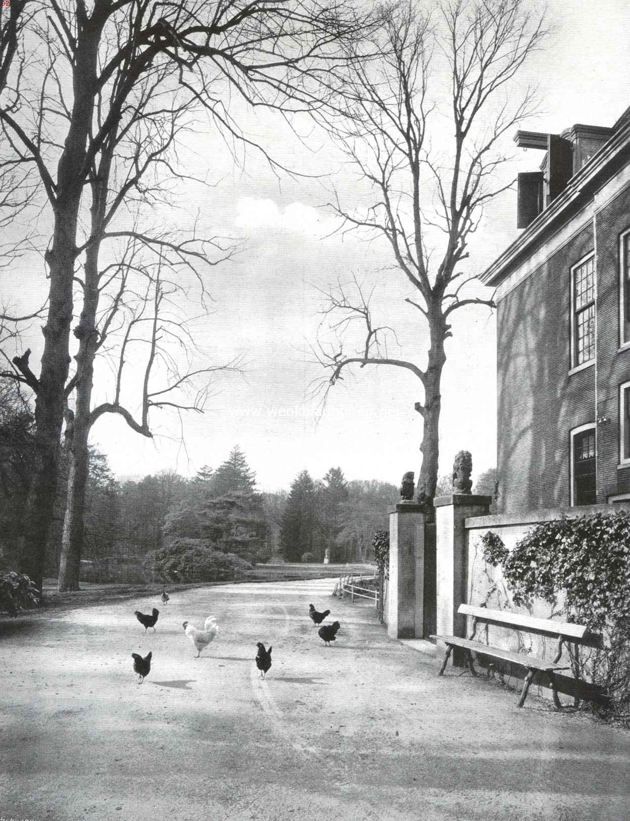 Huize Vogelenzang. Gezicht in het park bij de Zuidzijde van het huis