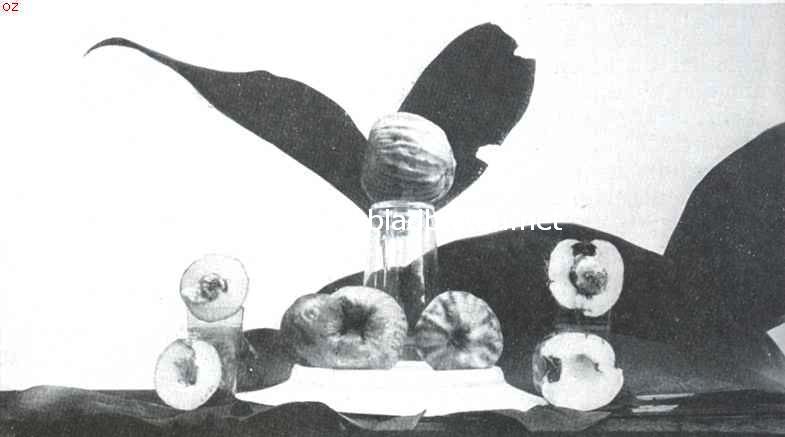 Javaansche vruchten. Djamboe bol (Jambosa Domestica)
