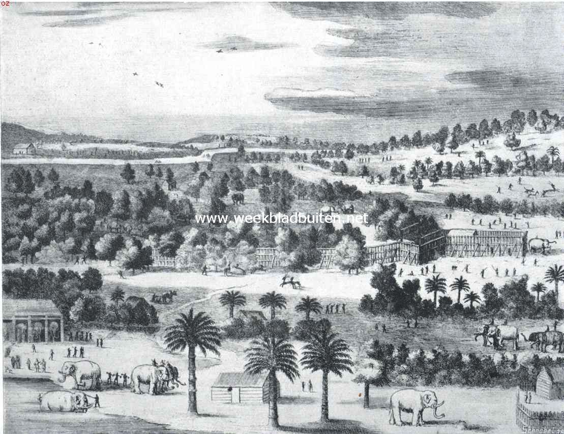 De lotgevallen van Hans en Parkie. De Ceylonsche olifanten van stadhouder Willem V. Olifantenvangst op Ceylon