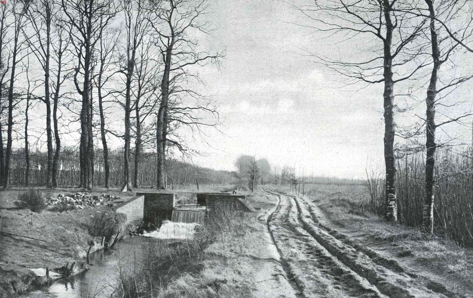 Het Veluwsche landschap. Langs de beek