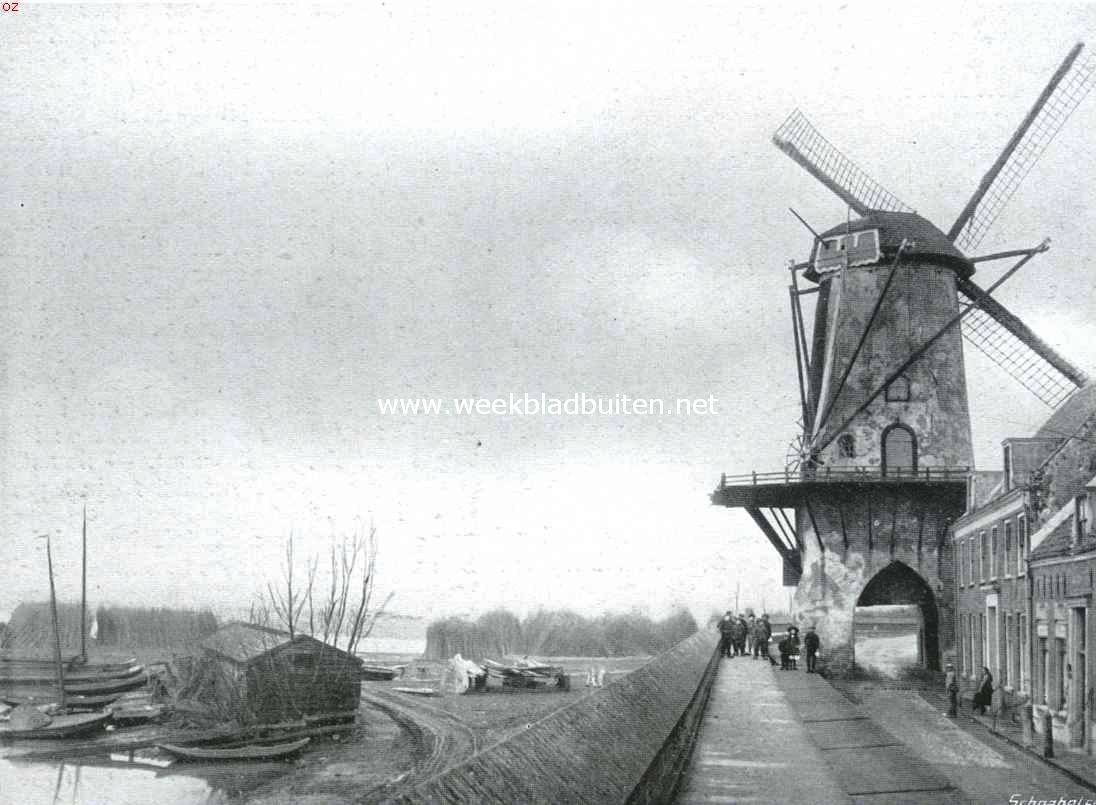 De windkorenmolen 