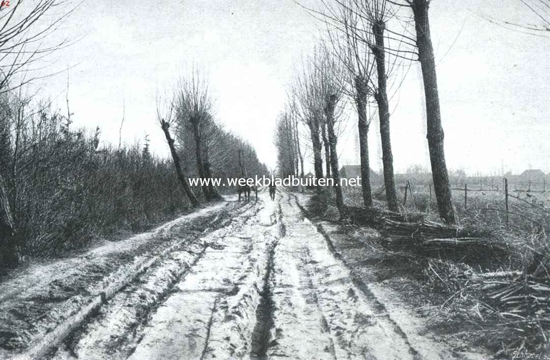 Het Veluwsche landschap. Wintertijd