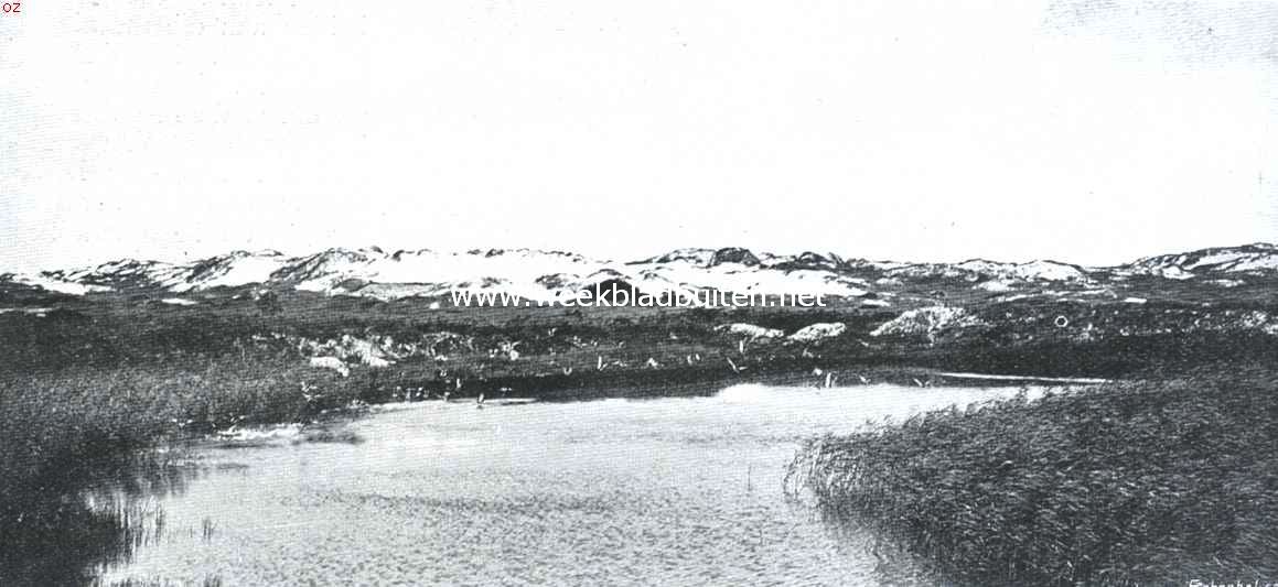 Verlaten eendenkooi in de duinen van Schouwen