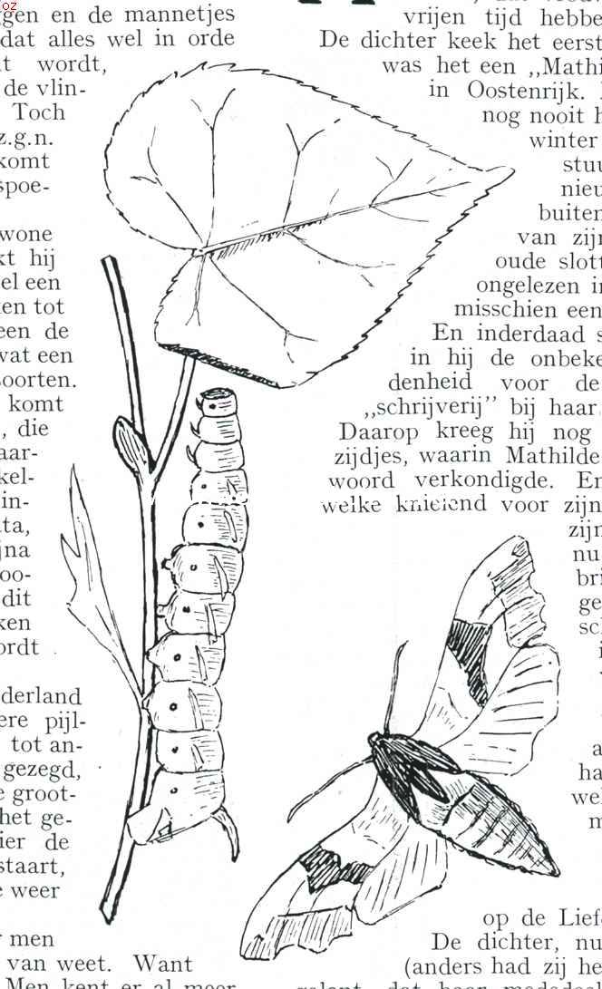 Zonder titel
