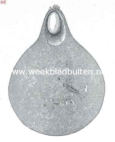De heilige pillendraaier. Doorsnede van de peer