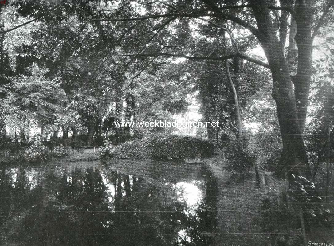Natuurschoon bij Rotterdam. Vijver op 