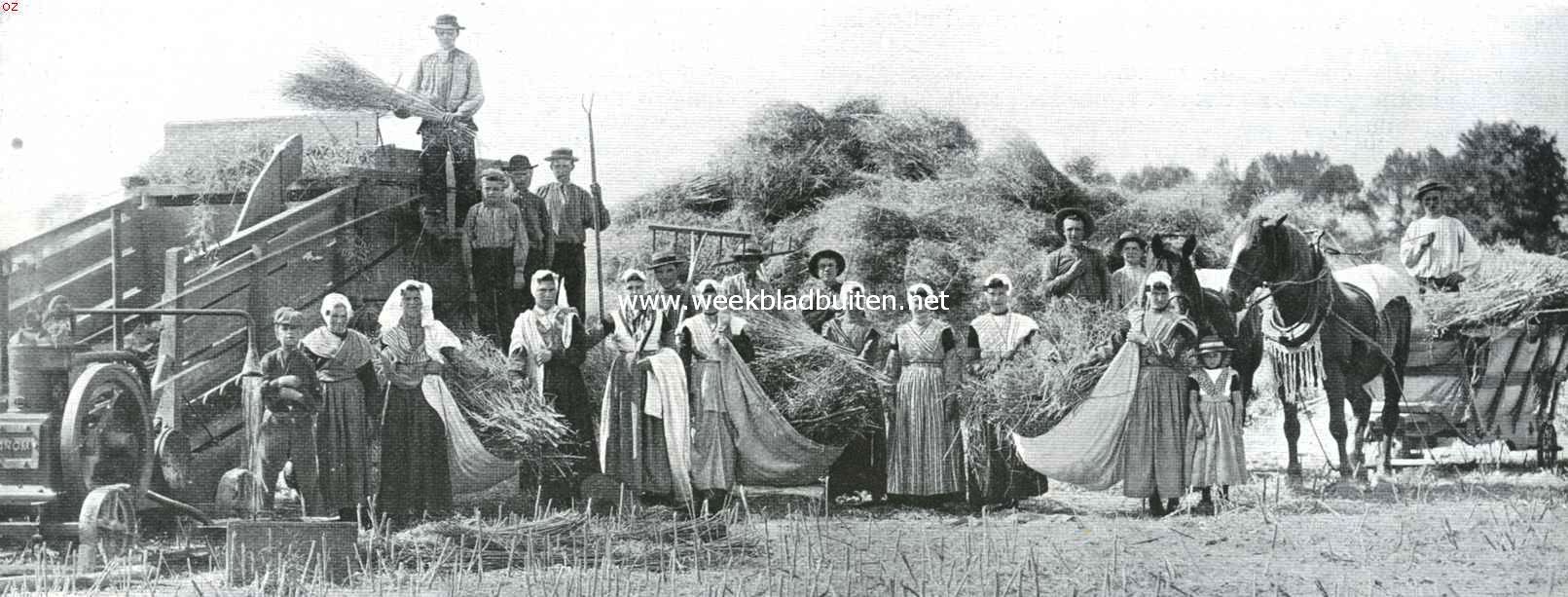 De werken van den vrede. Zuid-Beveland in het teeken van den oogst