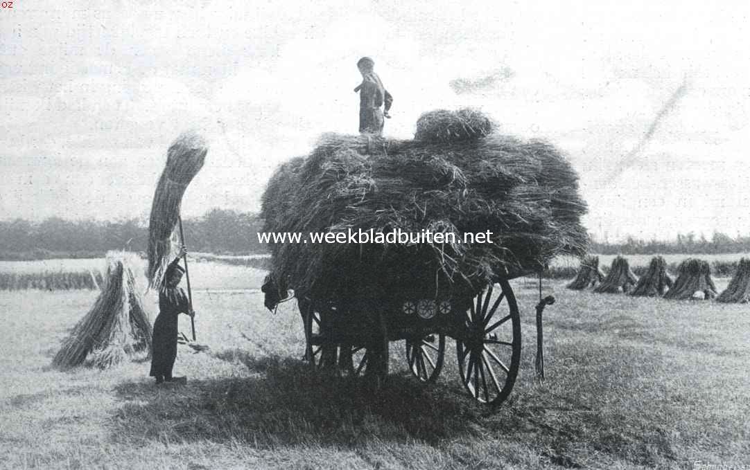 De werken van den vrede. Het inhalen der rogge