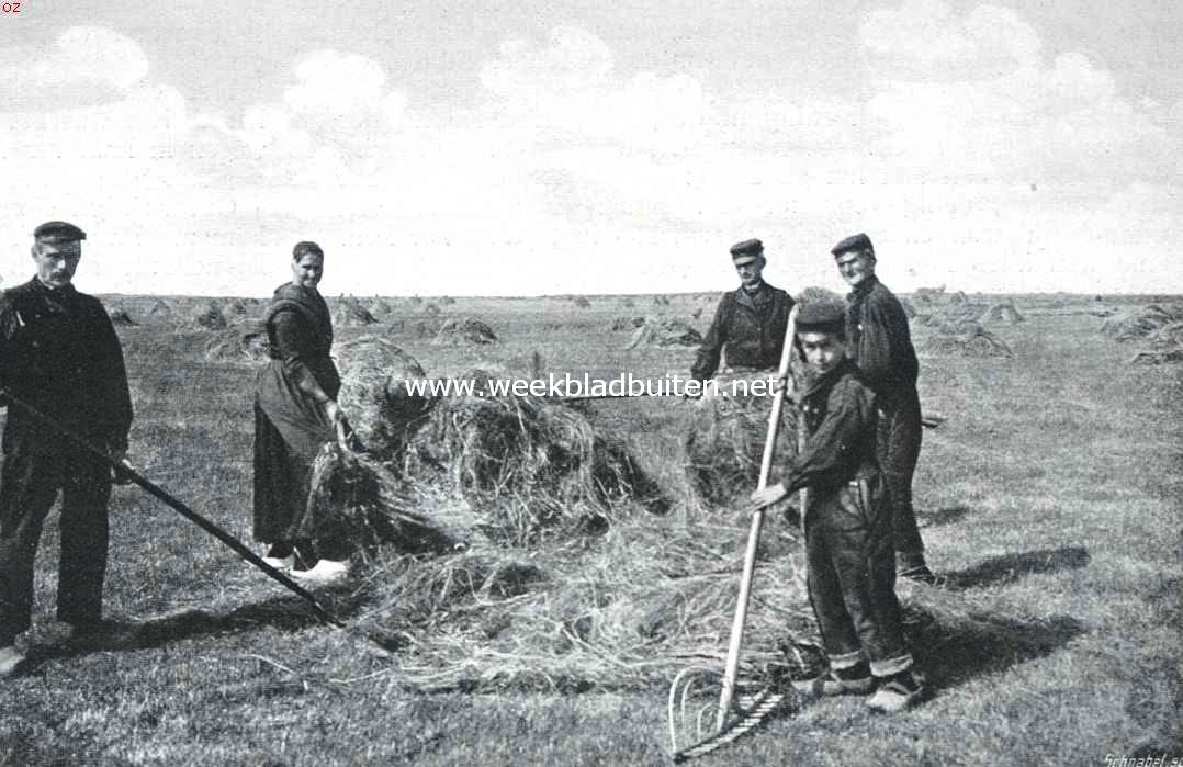 De werken van den vrede. Hooien