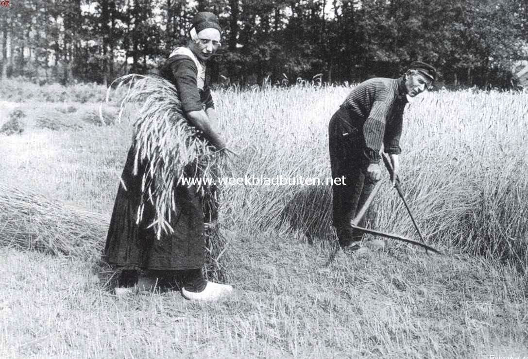 De werken van den vrede. Maaien