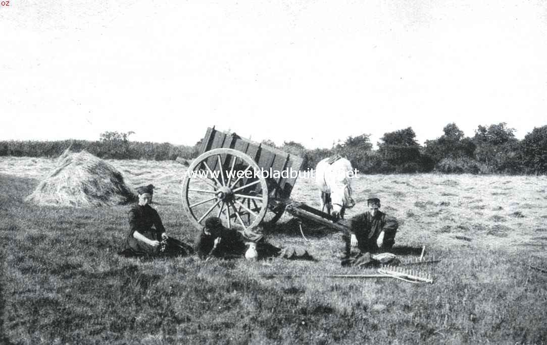 Rust in het veld