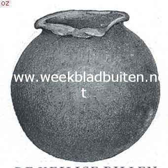 De heilige pillenkever. Pil van den kever, tot een kom uitgehold, ten einde het ei te ontvangen