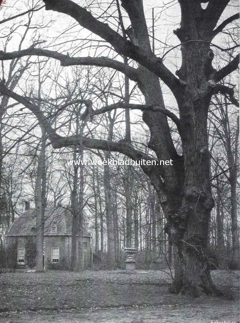 Oud-Poelgeest. Kijkje in het park met tuinmanswoning