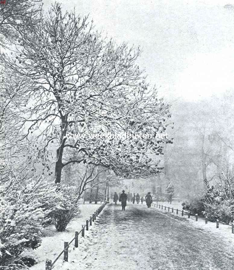 In het Leidsche Boschje te Amsterdam op een mistigen winterdag