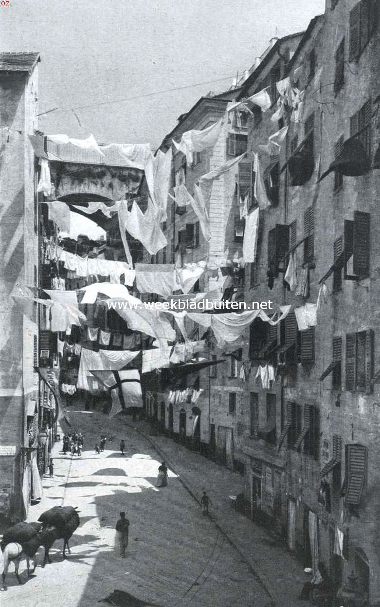 Genua 