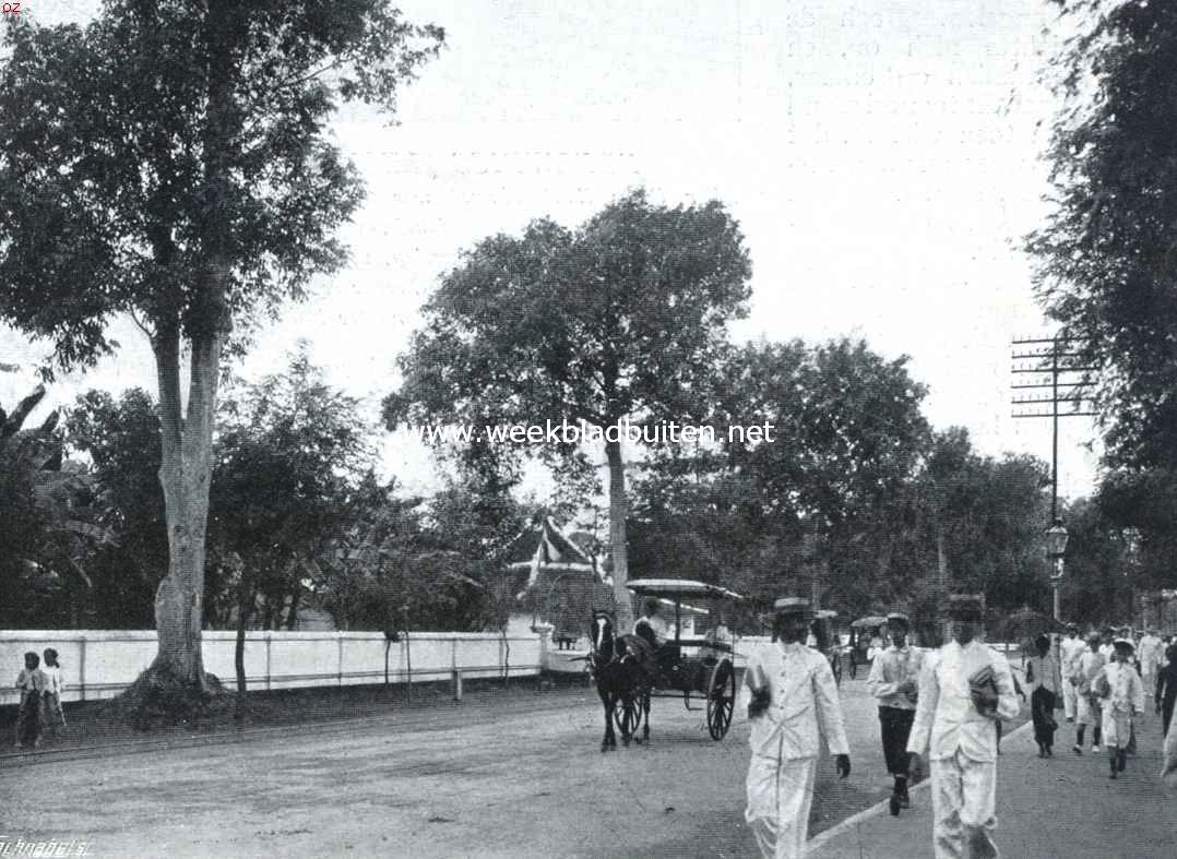 Batavia. De verbindingsweg tusschen het oude Batavia (benedenstad) en de bovenstad, ter hoogste van het 