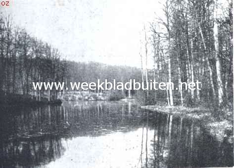 Ontwerp eener moderne schoonheidsleer voor den tuinaanleg. Als tegenstelling met het quasi-natuurlijke: een natuurlijke vijver in een vallei van het Zoninbosch (Fret de Soignes) nabij Brussel