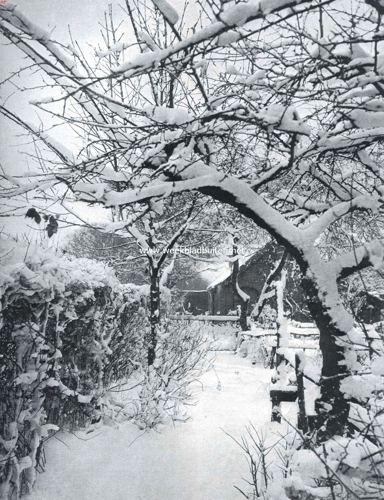 Sneeuwpracht. De Graaf Florislaan te Bussum na den sneeuwval in de afgeloopen week