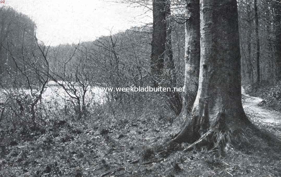 Ontwerp eener moderne schoonheidsleer voor den tuinaanleg. De 