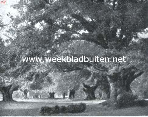 Ontwerp eener moderne schoonheidsleer voor den tuinaanleg. De aanleg van parken in Engeland. Bij den aanleg van de parken van de figuren hiernaast en hierboven is het karakter van het groote landschap geerbiedigd, iets wat een eerste voorschrift bij het maken van een park is. Hierboven een karakteristiek voorbeeld er van