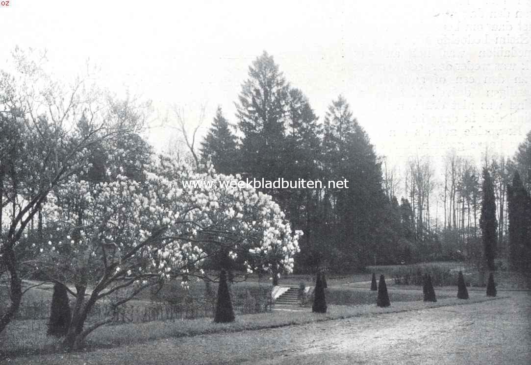 Ontwerp eener moderne schoonheidsleer voor den tuinaanleg. Nog een afbeelding van het domein van Maillard. Een prachtige groep magnolia's, zorgvuldig gespaard, staat op de terrassen en breekt de strakheid; dit gedeelte krijgt aldus het aanzien van 