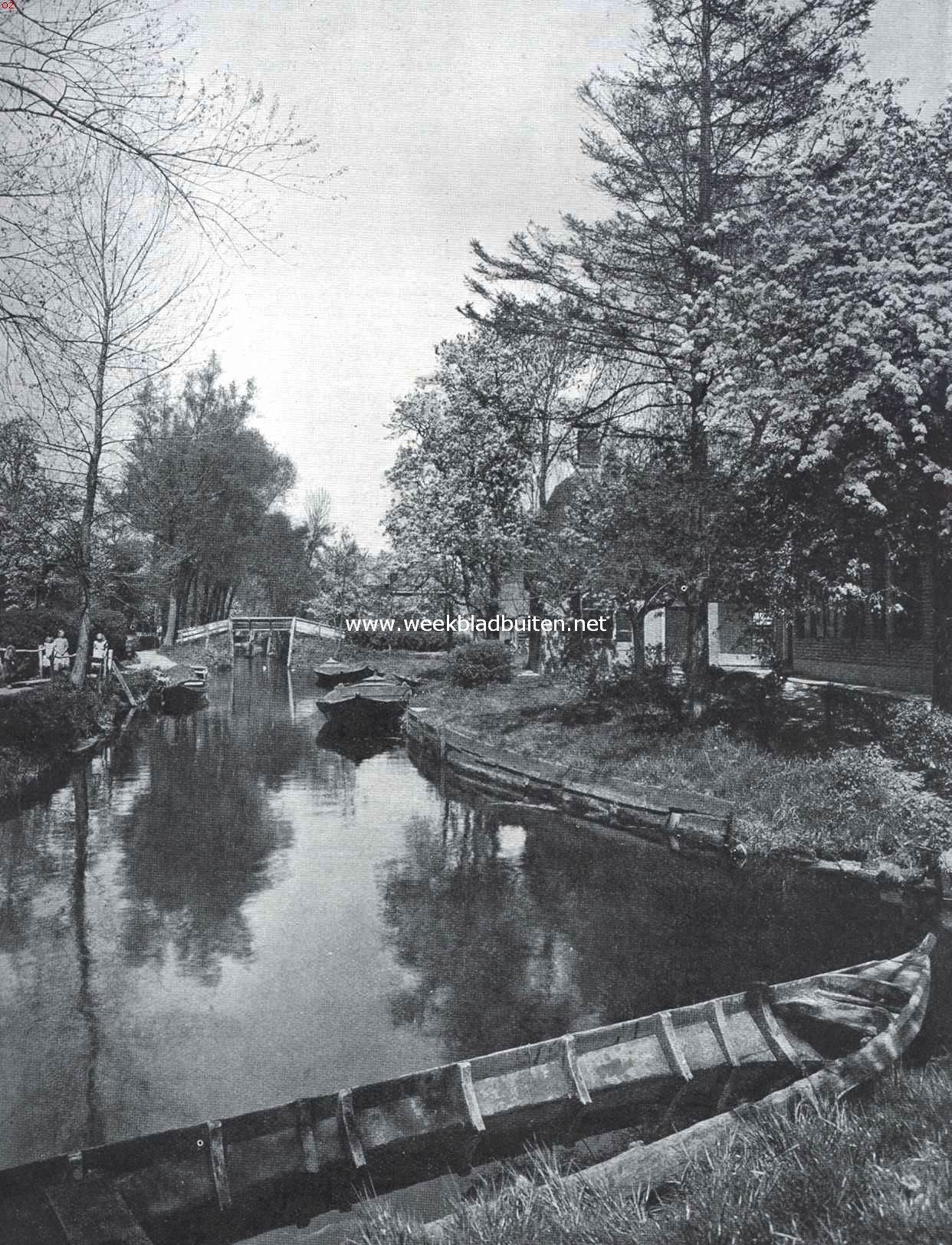 Bloesempracht te Giethoorn