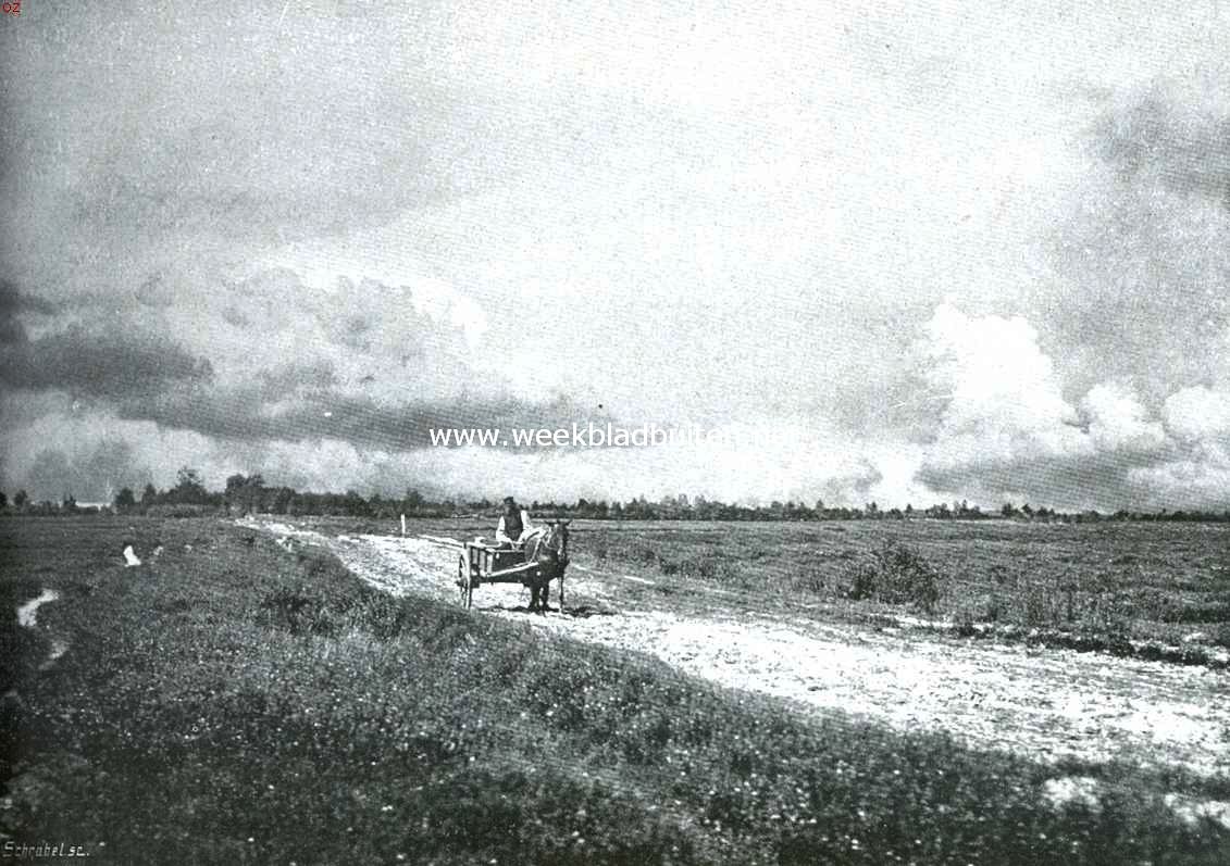 De wandelweg Zwolle-Oldenzaal. Bij Denekamp. Op de heide