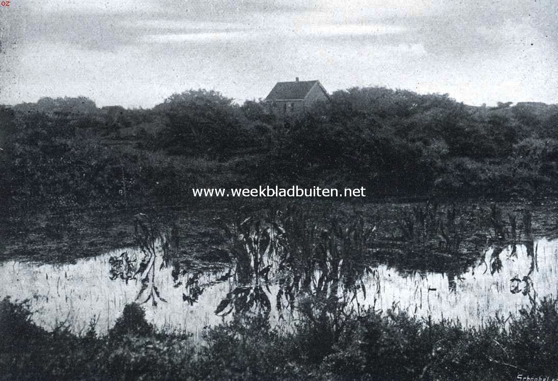 Rockanje's geheimzinnig meertje. Meertje in de duinen bij Rockanje