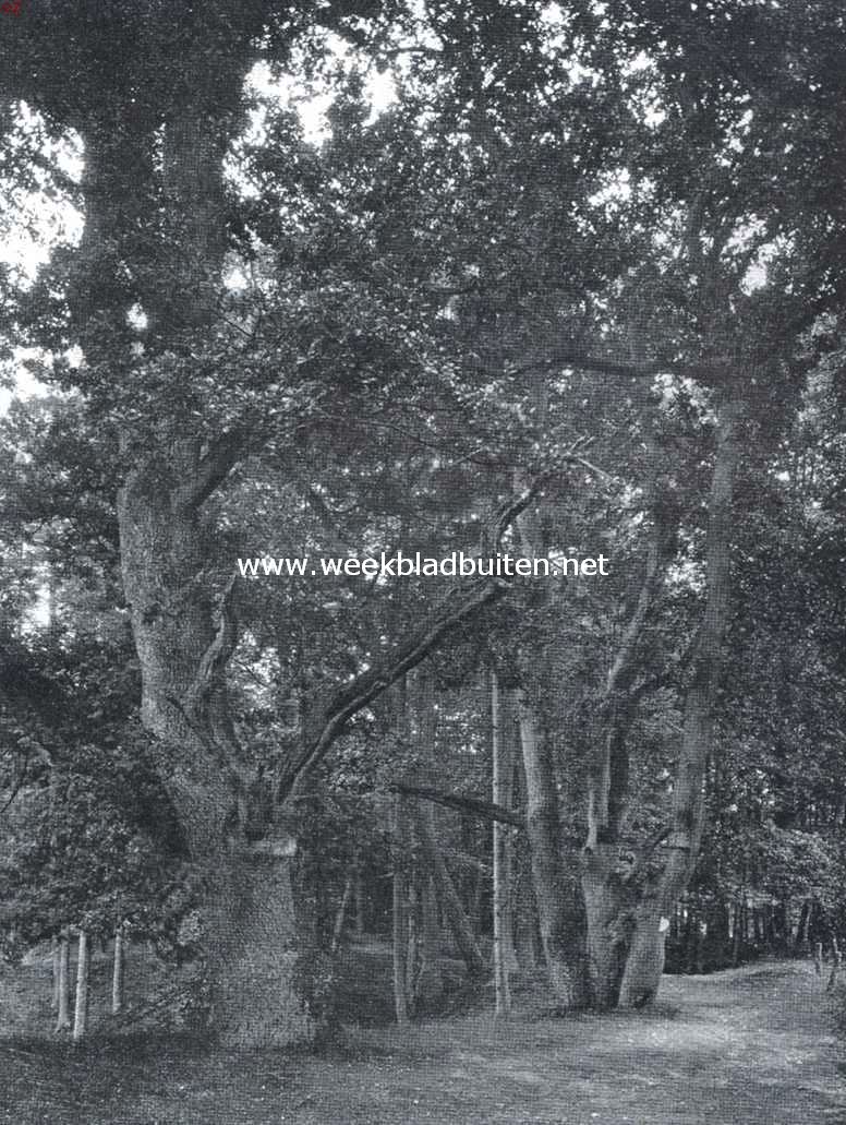 Philemon en Baucis op Beekhuizen bij Velp