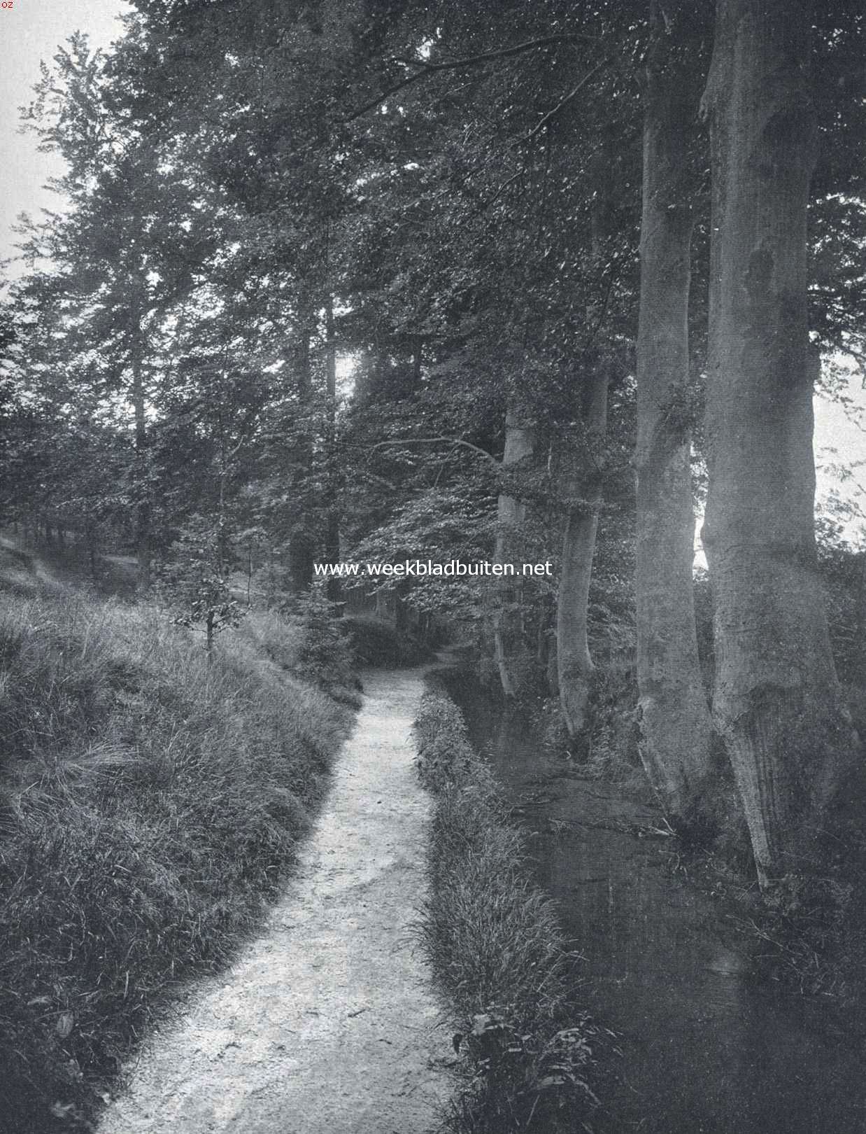 Bij den watermolen op het landgoed Beekhuizen
