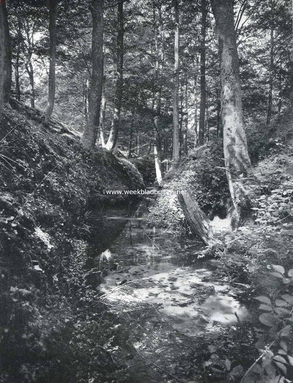 Putten en de Noorder-Veluwe. Het zoogenaamde 