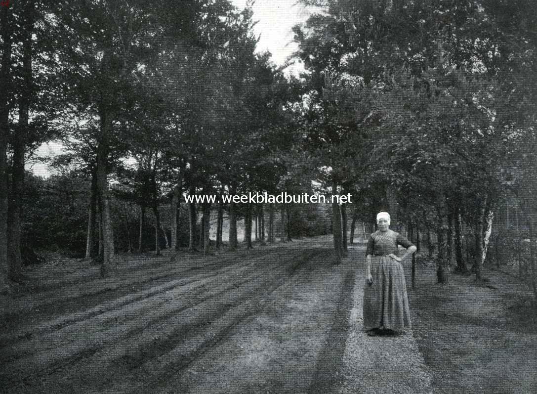Putten en de Noorder-Veluwe. Ingang van het Leuvenumsche bosch onder Hulshorst