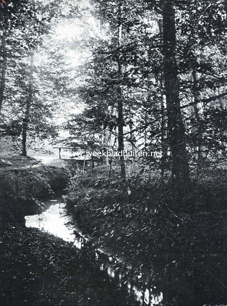 Putten en de Noorder-Veluwe. De Hierdensche Beek in het Leuvenumsche bosch