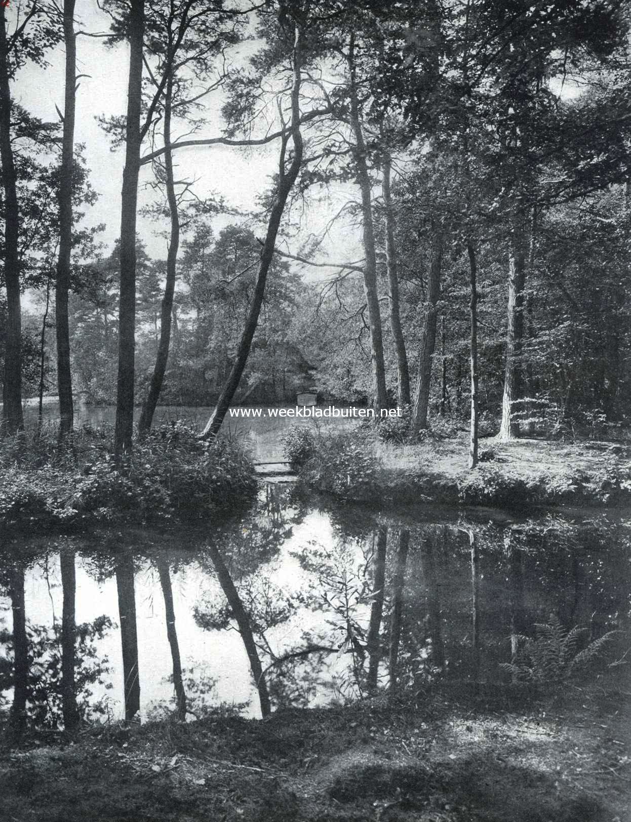 Putten en de Noorder Veluwe. De vijver van het landgoed Vanenburg onder Putten
