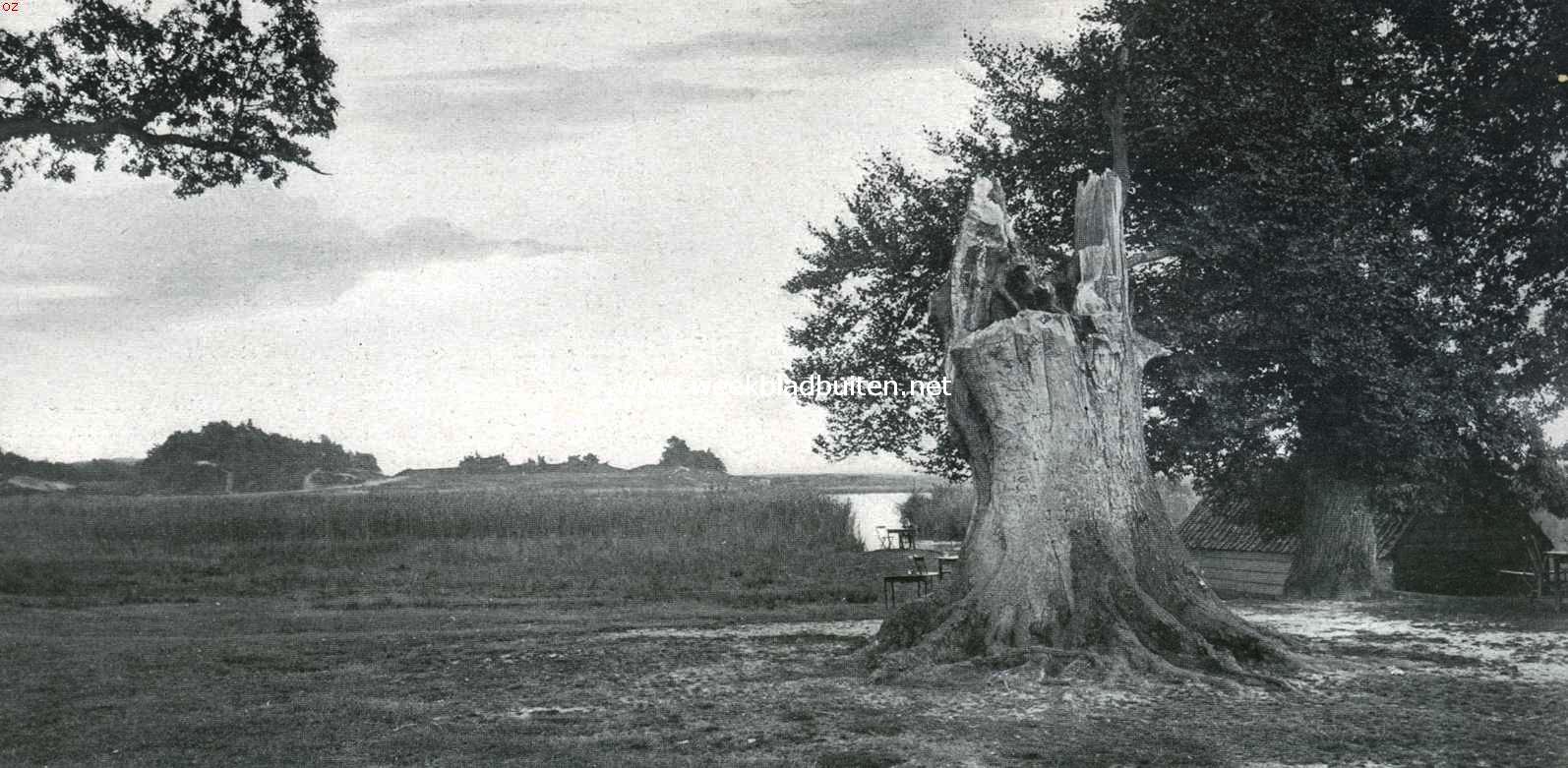 Putten en de Noorder Veluwe. Aan het Uddelermeer. Op den achtergrond de vermaarde Hunneschans